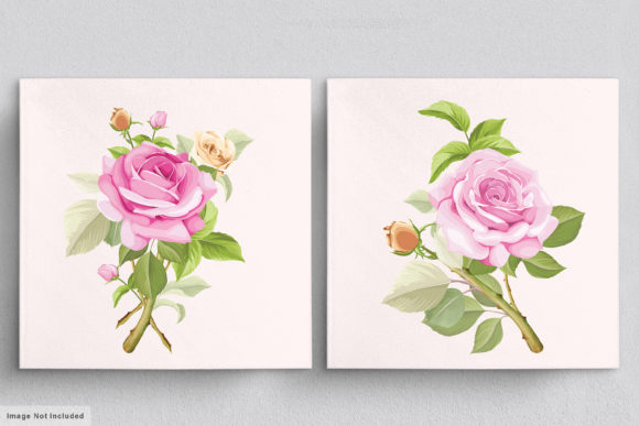 Download Beautiful Roses Hand Drawn Illustrations - Hand Collection