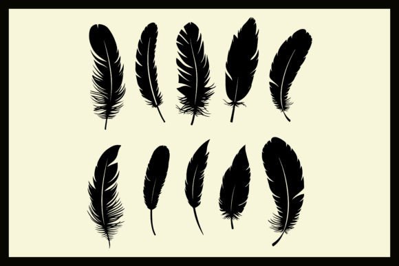 Download Bird Feather Silhouette Vector Clipart - Bird feather Collection