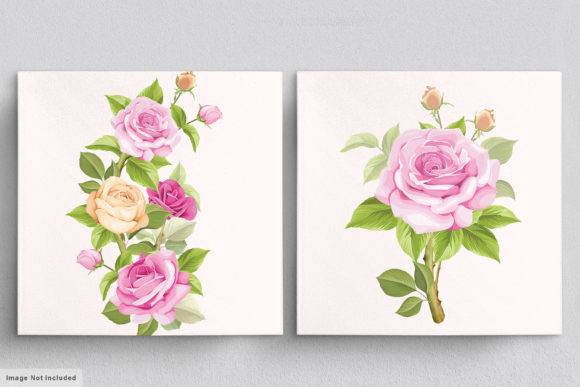 Download Beautiful Roses Hand Drawn Illustrations - Hand Collection