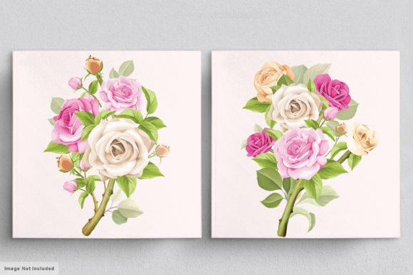 Download Beautiful Roses Hand Drawn Illustrations - Hand Collection