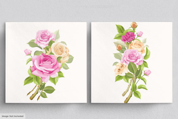 Download Beautiful Roses Hand Drawn Illustrations - Hand Collection