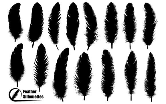 Download Bird Feather Silhouettes Vector Art - Bird feather Collection