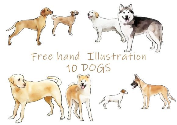 Download Freehand Illustration of 10 Dogs - Hand Collection