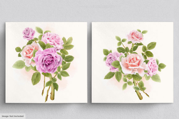Download Beautiful Roses Hand Drawn Illustrations - Hand Collection