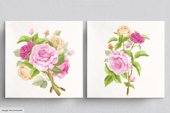 Download Beautiful Roses Hand Drawn Illustrations - Hand Collection
