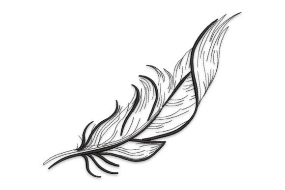 Download Bird Feather - Bird feather Collection