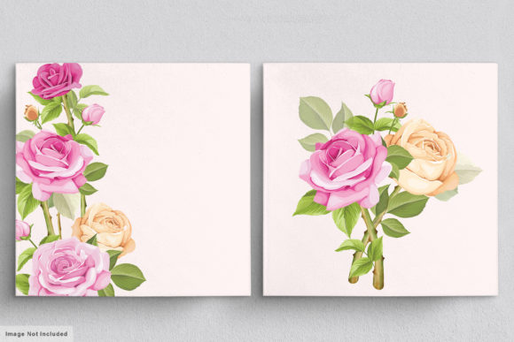 Download Beautiful Roses Hand Drawn Illustrations - Hand Collection