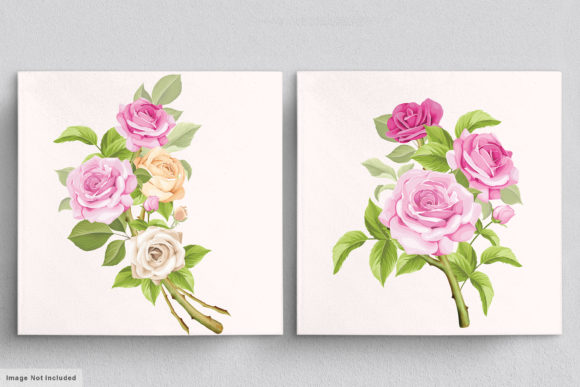 Download Beautiful Roses Hand Drawn Illustrations - Hand Collection