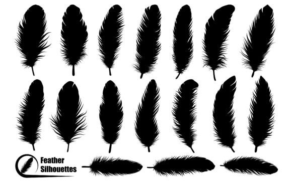 Download Bird Feather Silhouettes Vector Art - Bird feather Collection