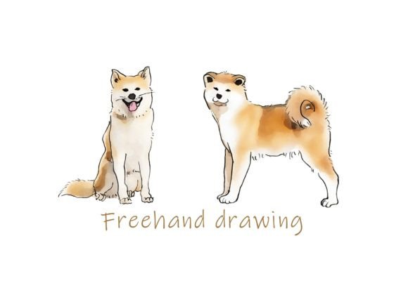 Download Freehand Illustration of Akita Inu Dog - Hand Collection