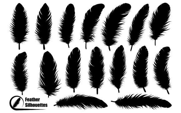 Download Bird Feather Silhouettes Vector Art - Bird feather Collection
