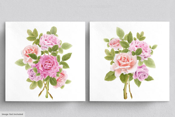 Download Beautiful Roses Hand Drawn Illustrations - Hand Collection