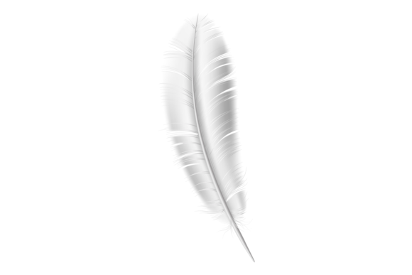 Download Realistic Bird Feather. White Fluffy Lig - Bird feather Collection