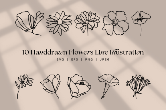 Download Handdrawn Flower Line Art, Floral Boho - Hand Collection